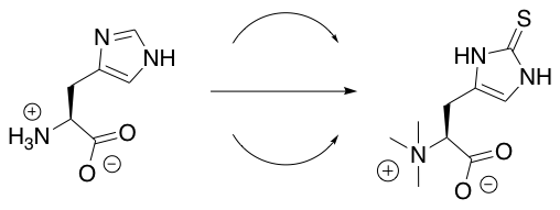 ASrev