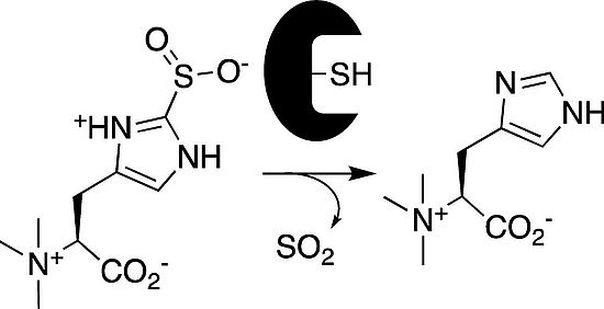 Graphical Abstract
