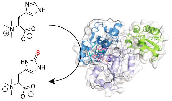 JACS2019-2
