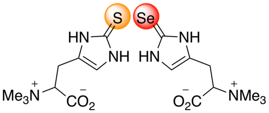 se