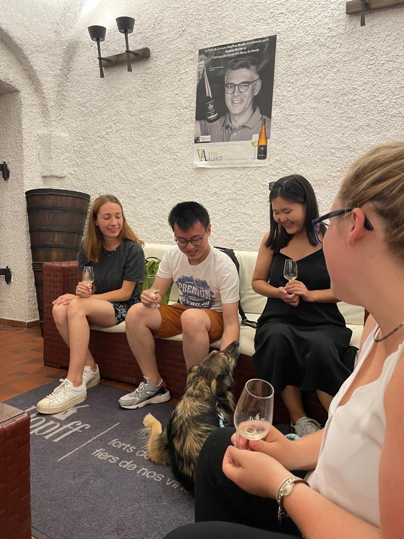 Wine Tasting Colmar